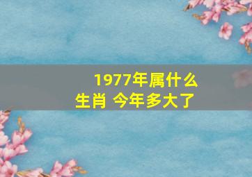 1977年属什么生肖 今年多大了